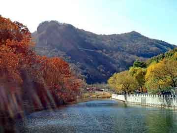 新澳天天开奖资料大全旅游团，群泛目录